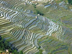 Les rizières du ciel de Yuanyang (chez les Hani-Akha)