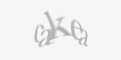 Code de Securité