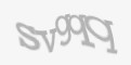 Code de Securité