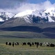 Paysages tibétains en photos