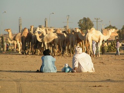 <strong>Lire la suite</strong><br>Espace Sahélo-Saharien (Nord Sahel) Espace Sahélo-Saharien (Nord Sahel)
