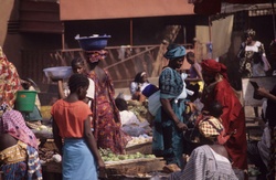 <strong>Lire la suite</strong><br>Guinée  ( l'état) Guinée  ( l'état)