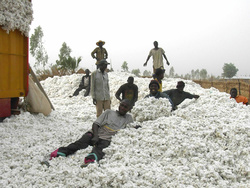 Les ressources agricoles et minières en Afrique de l’Ouest