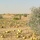 Niger Niger