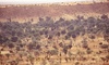Espace Sub-sahélien (Sud Sahel) Espace Sub-sahélien (Sud Sahel)