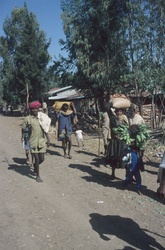 <strong>Lire la suite</strong><br>Oromo - le peuple Oromo - le peuple