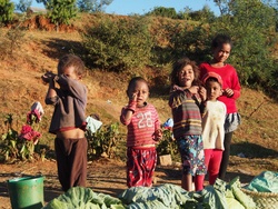 <strong>Lire la suite</strong><br>Ethnies de Madagascar Ethnies de Madagascar