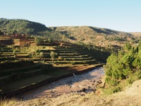 Previous