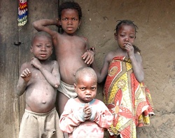 <strong>Lire la suite</strong><br>Peuls et désertification du Sahel Peuls et désertification du Sahel