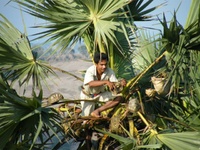 Previous