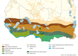 <strong>Lire la suite</strong><br>Agricultures traditionnelles en Afrique de l'Ouest Agricultures traditionnelles en Afrique de l'Ouest