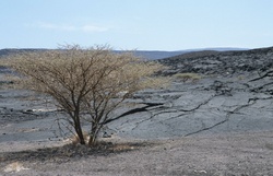 Géographie des basses terres orientales de la corne de l'Afrique