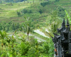 <strong>Lire la suite</strong><br>L'ile de Bali L'ile de Bali