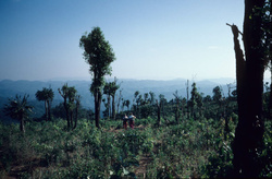 Culture des peuples des montagnes & des hauts plateaux