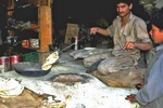 Habitants de l ouest Himalayen