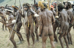 <strong>Lire la suite</strong><br>Les Papous Les Papous