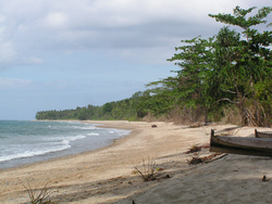 <strong>Lire la suite</strong><br>L'archipel des Moluques L'archipel des Moluques