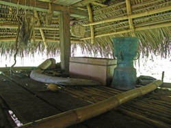 Les Moko  des îles de la sonde orientale