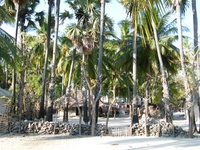 Previous