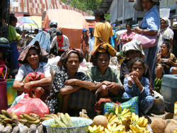 <strong>Lire la suite</strong><br>Timor Timor