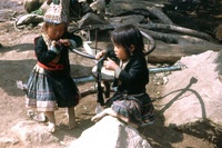 Previous