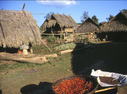 <strong>Lire la suite</strong><br>Hmong - économie Hmong - économie