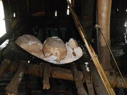 <strong>Lire la suite</strong><br>Que mangent les Papou ? Que mangent les Papou ?