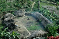 <strong>Lire la suite</strong><br>Vie sociale des Papou Vie sociale des Papou