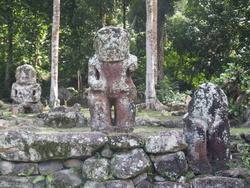 <strong>Lire la suite</strong><br>Culture Maori Culture Maori