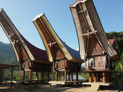 <strong>Lire la suite</strong><br>Histoire et culture des Toraja Histoire et culture des Toraja