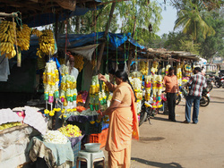 <strong>Lire la suite</strong><br>Des pratiquants de l'hindouismes Des pratiquants de l'hindouismes