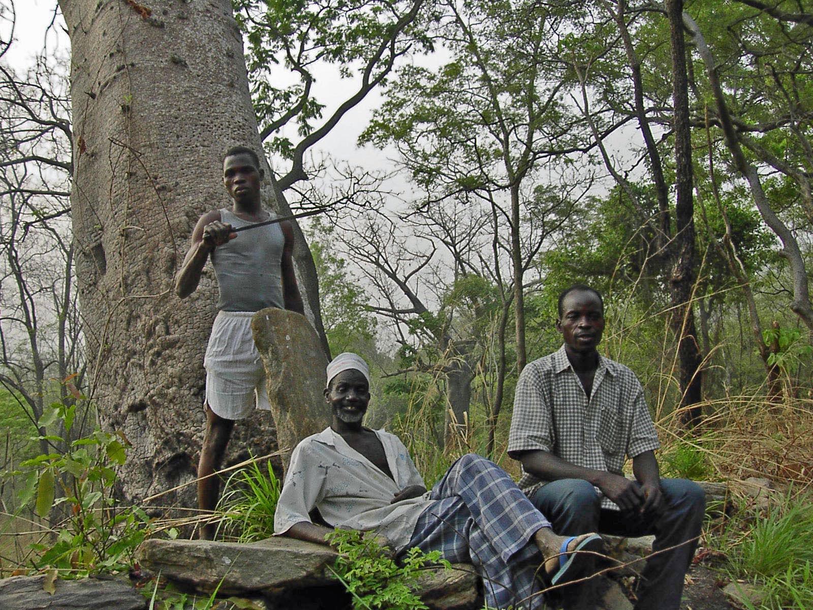 peuples de l'Afrique de l'Ouest  forestière 
