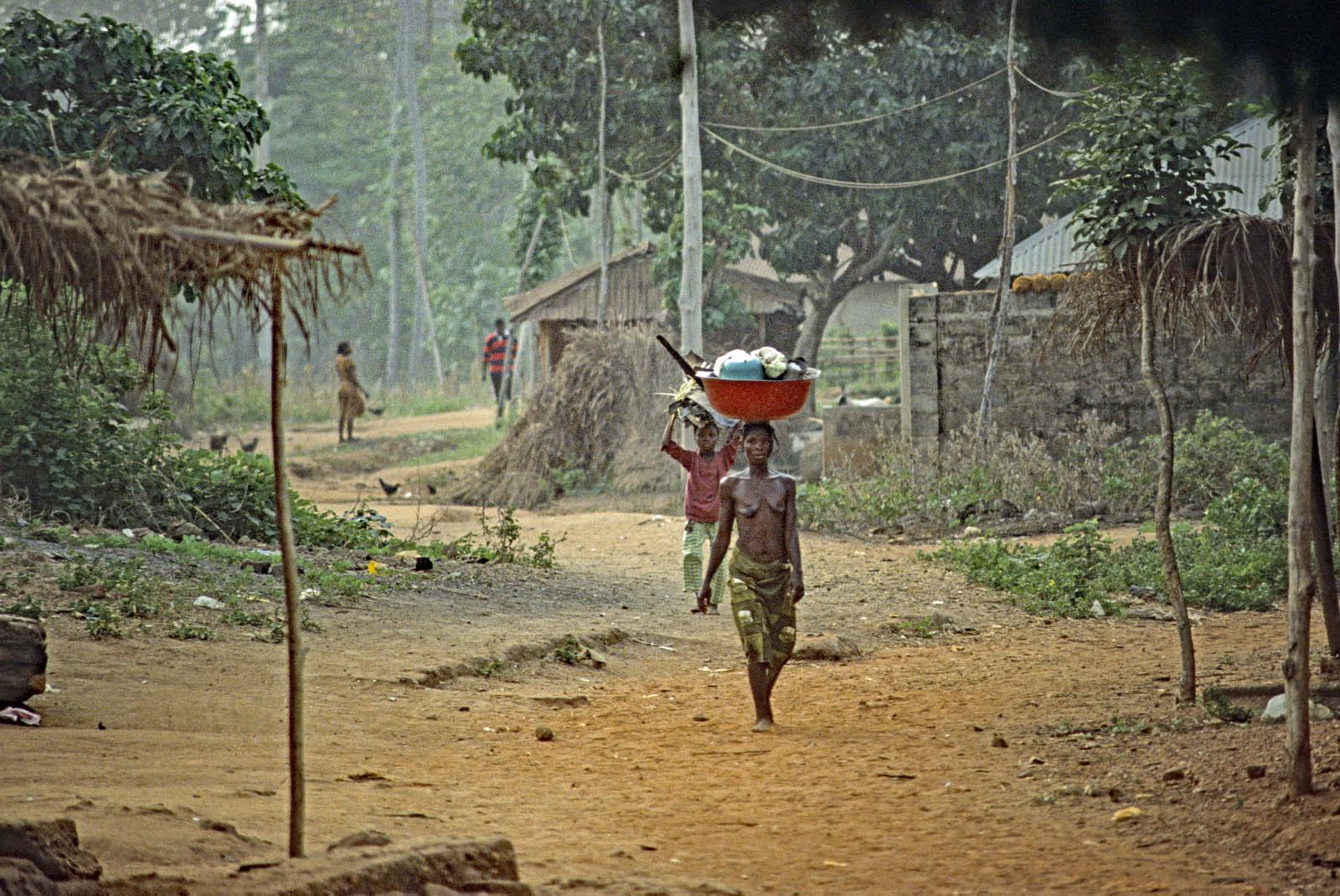 Afrique de l'ouest méridionale forestiere