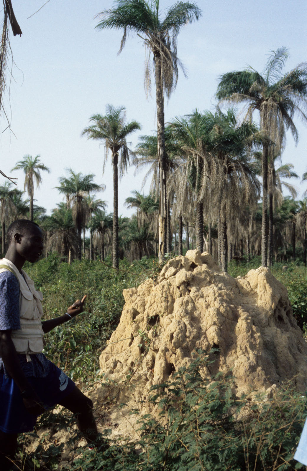 Au Sénégal