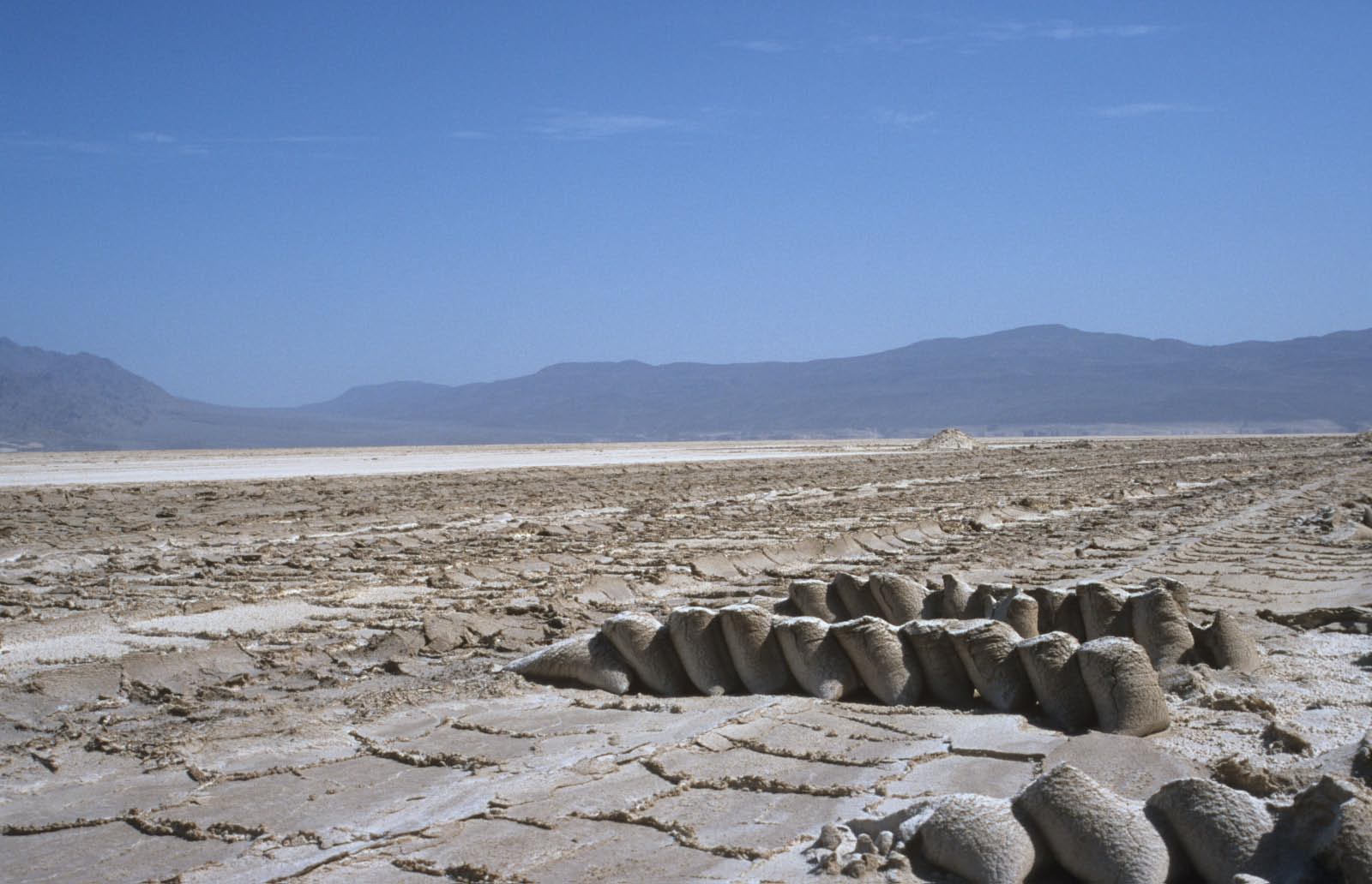 collecte du sel au lac Assal