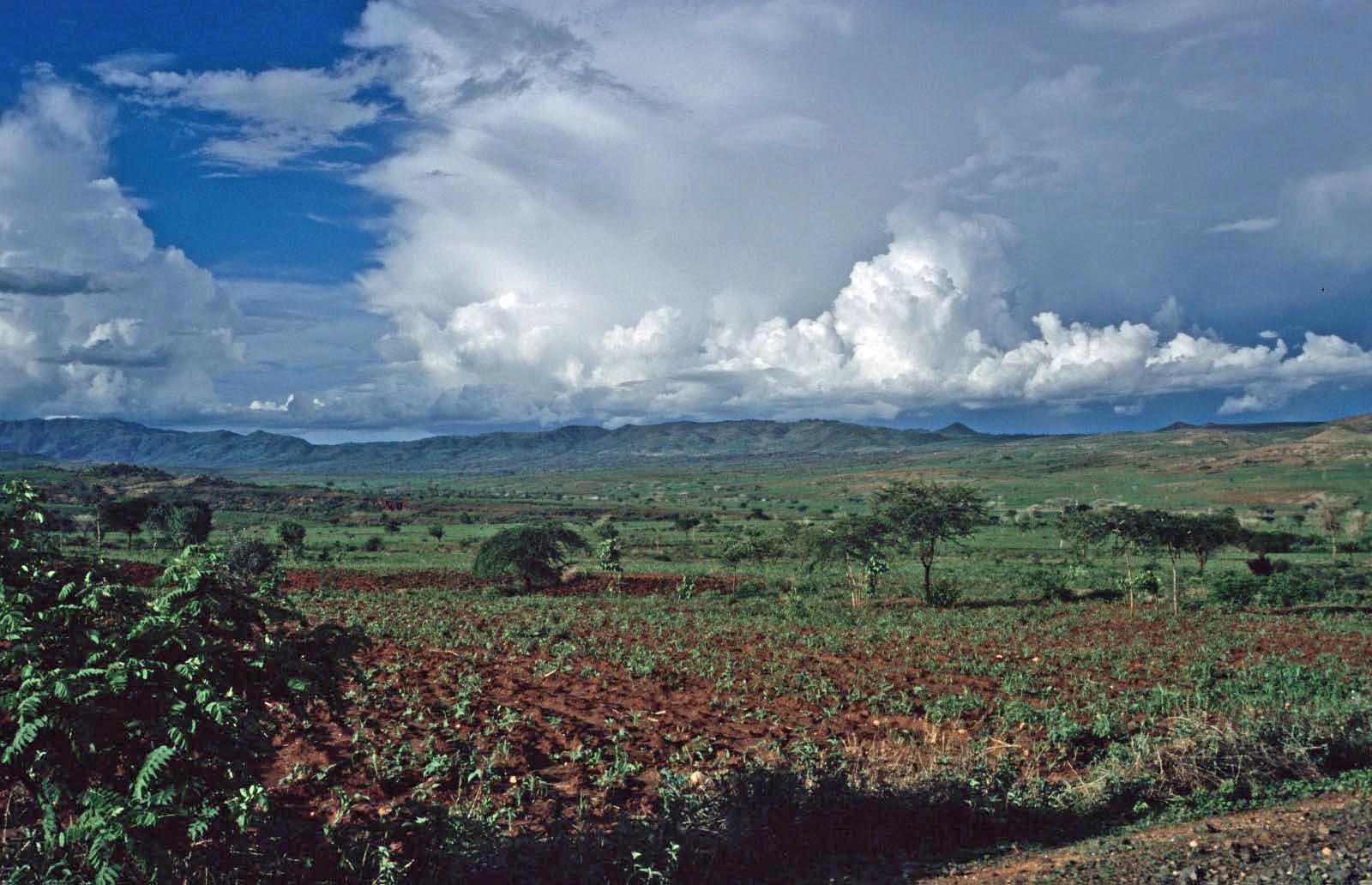 hauts plateaux ethiopiens 