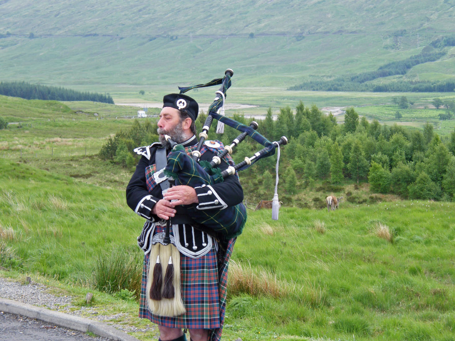 Celte écossais