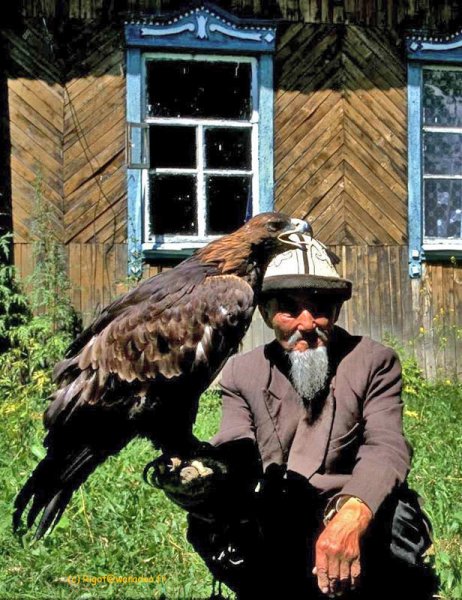 Kazakh: chasseur à l'aigle