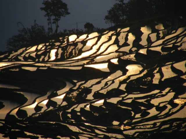 rizieres du ciel