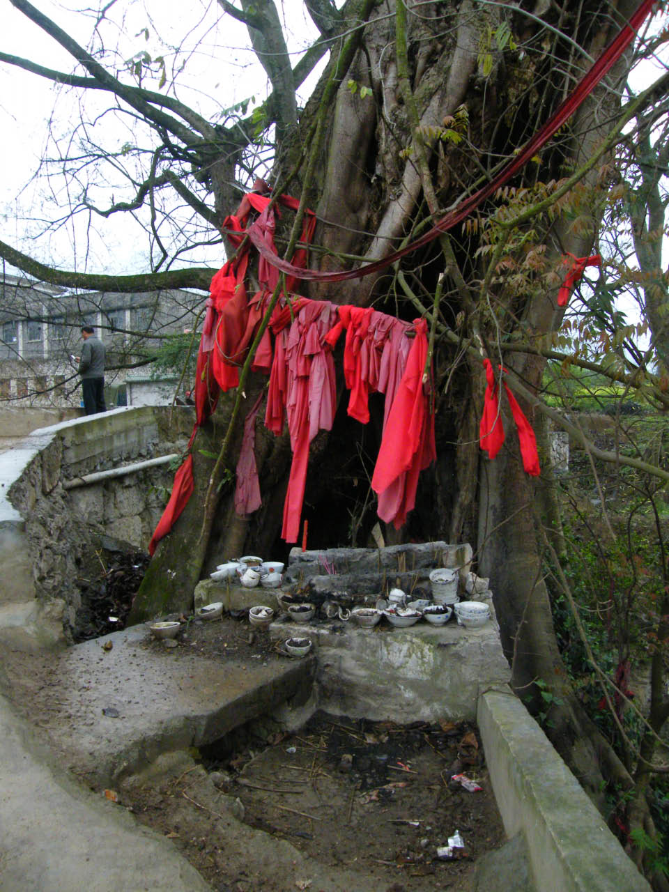 guizhou animistes 1