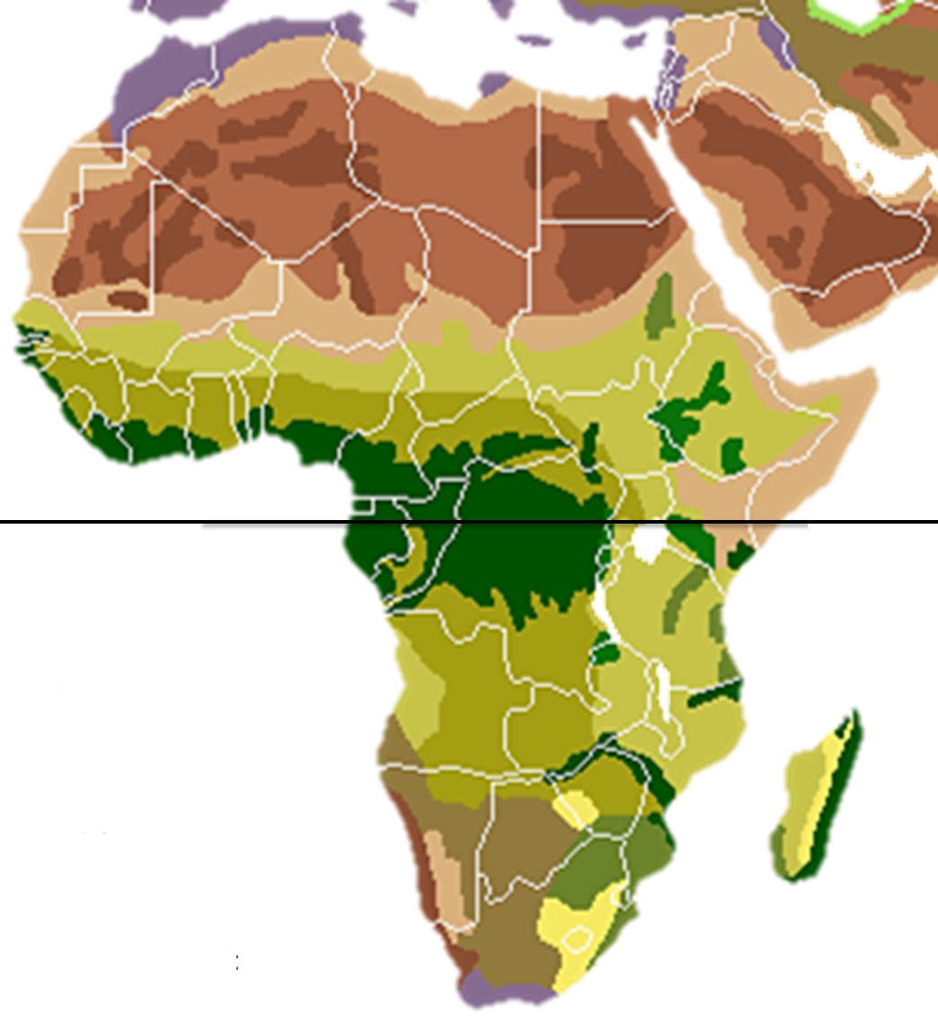afrique ecologie