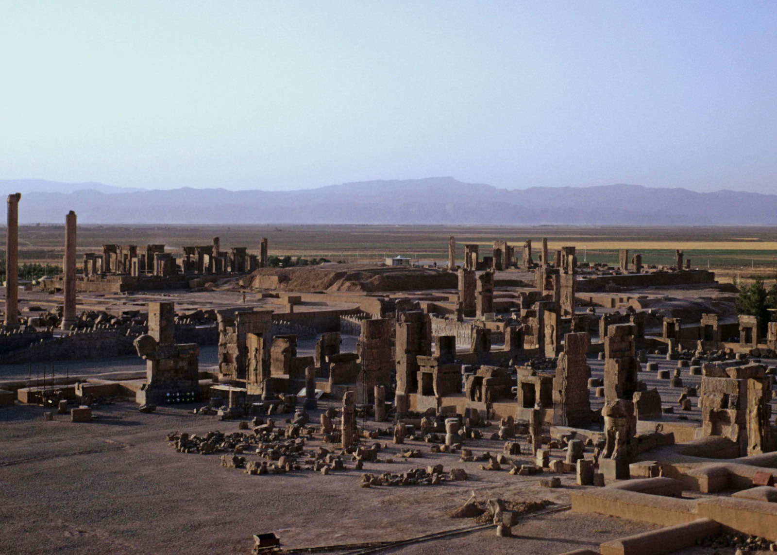 Persépolis 