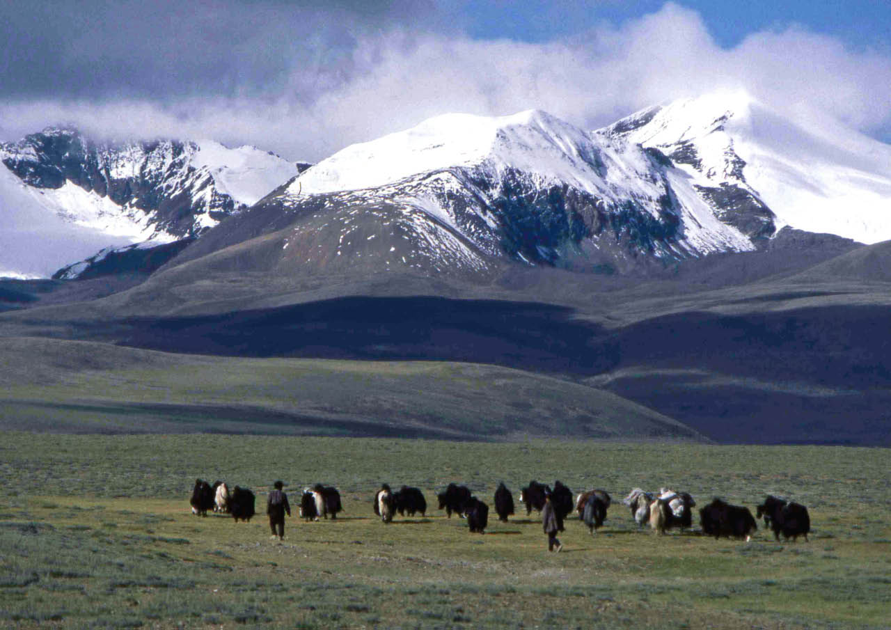 plateau du Tibet 