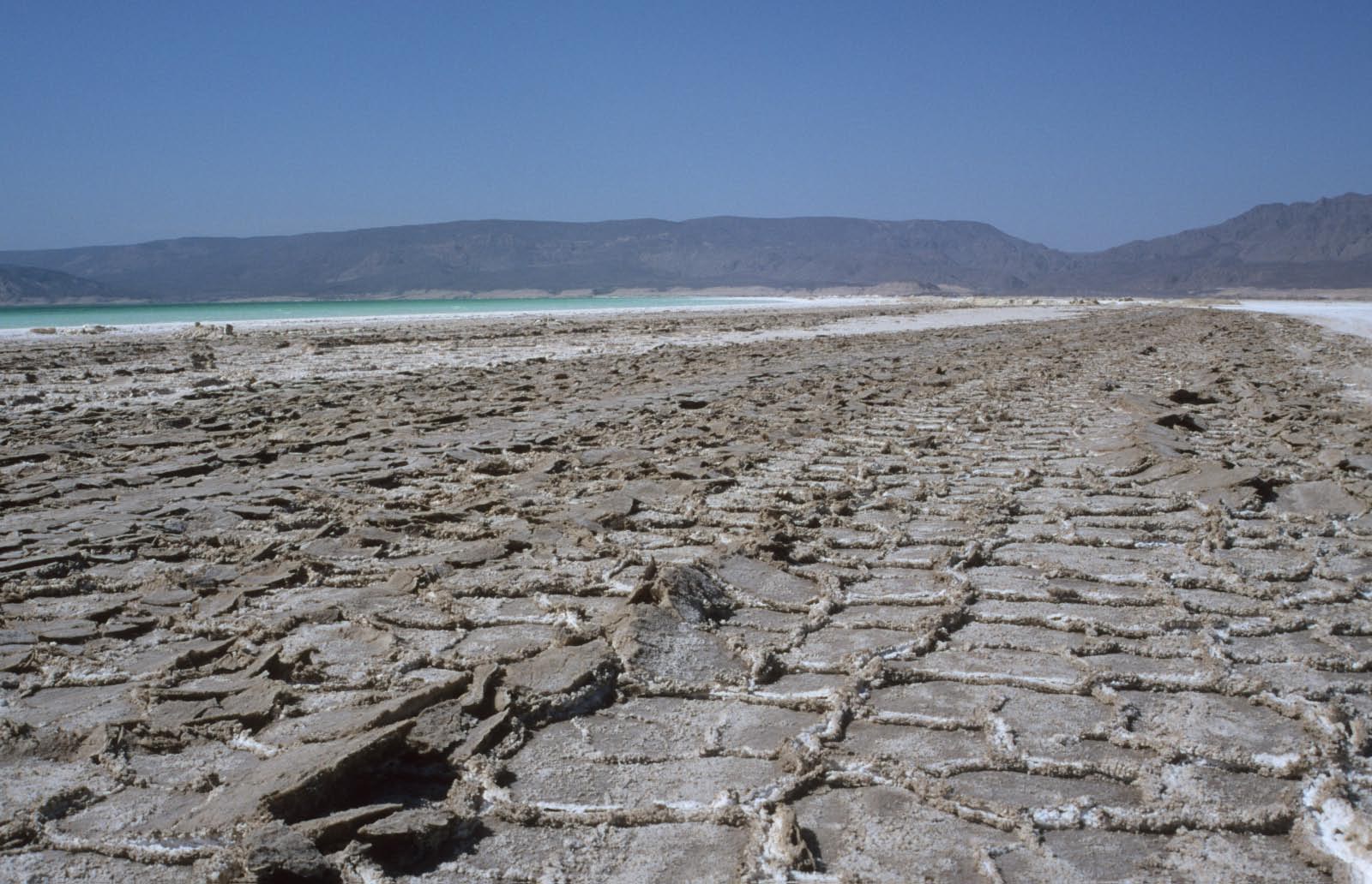 lac Assal dans le désert de Djibouti