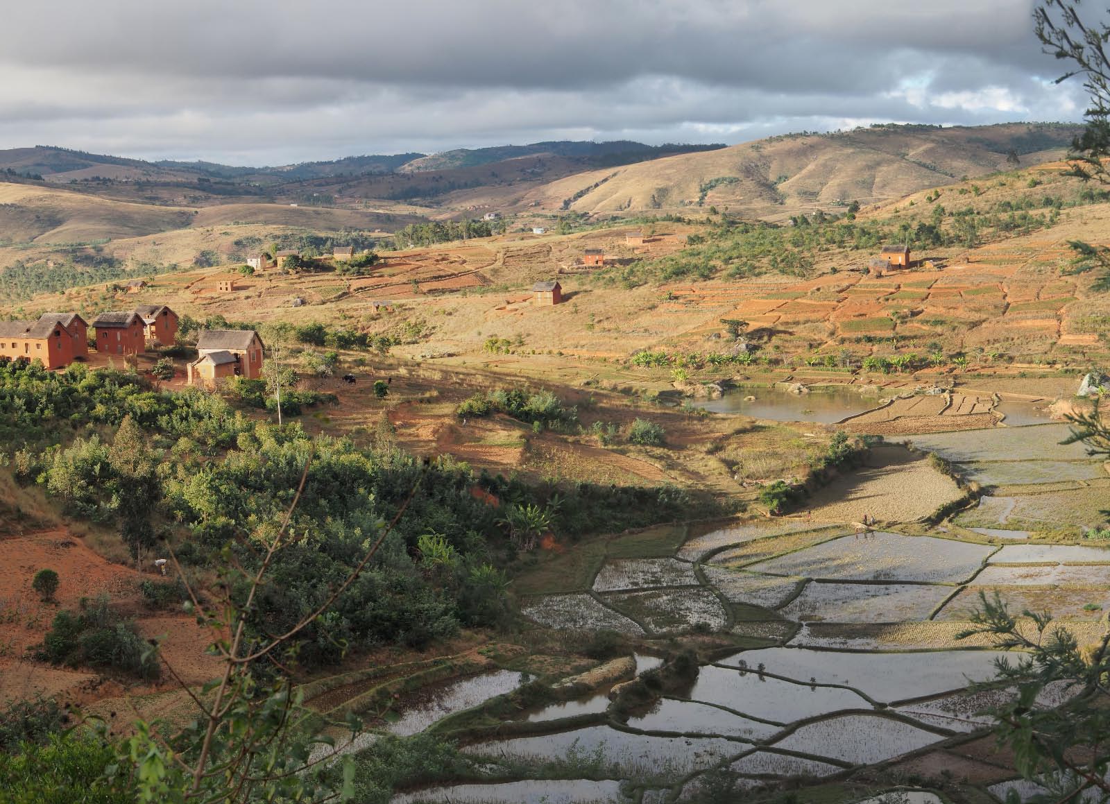 Madagascar hauts plateaux