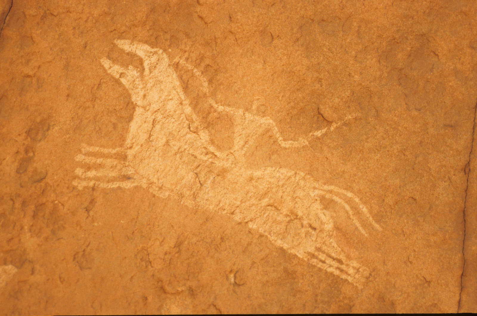 sahara rupestre - style cabalin