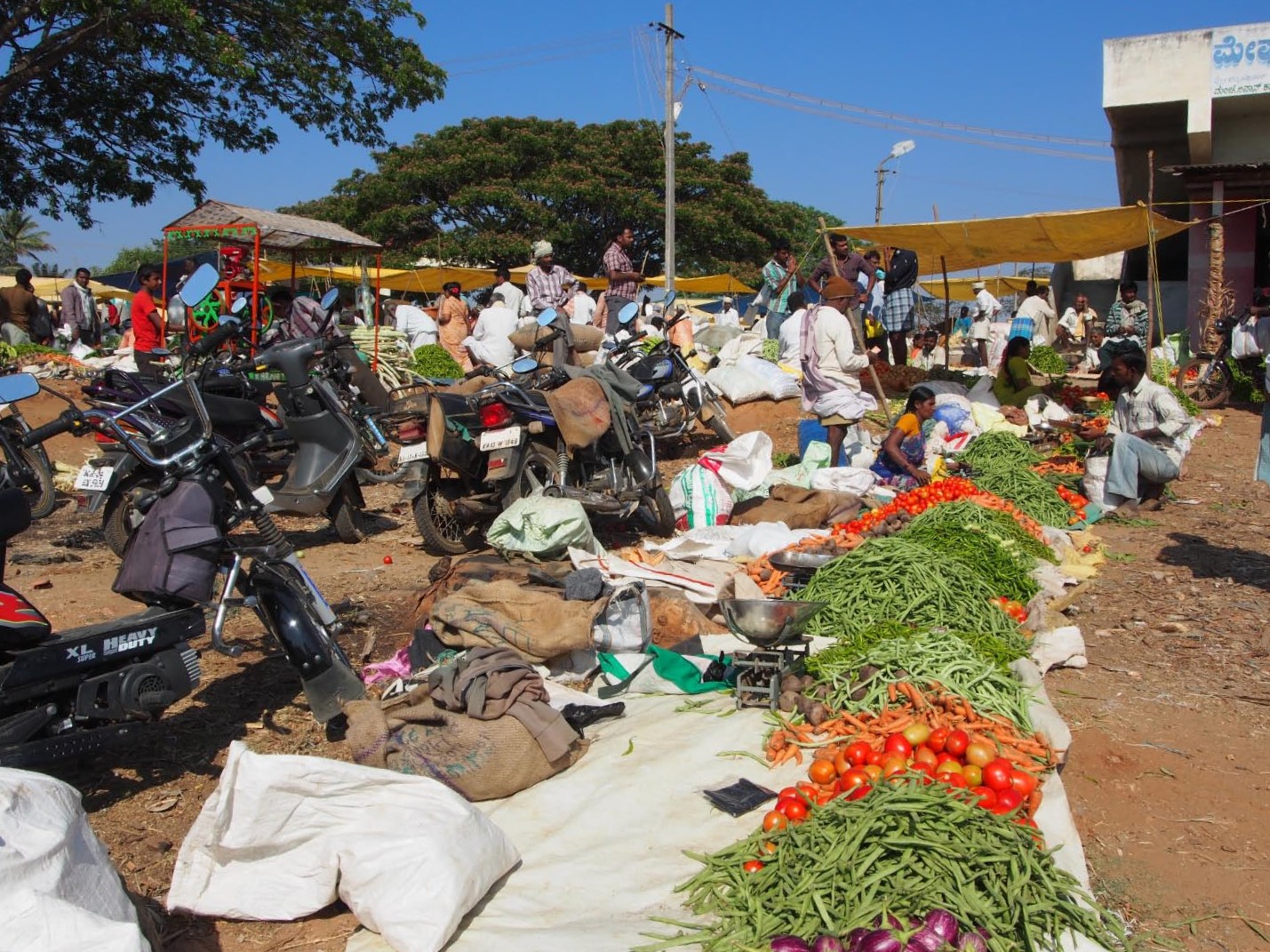 marche en Inde 