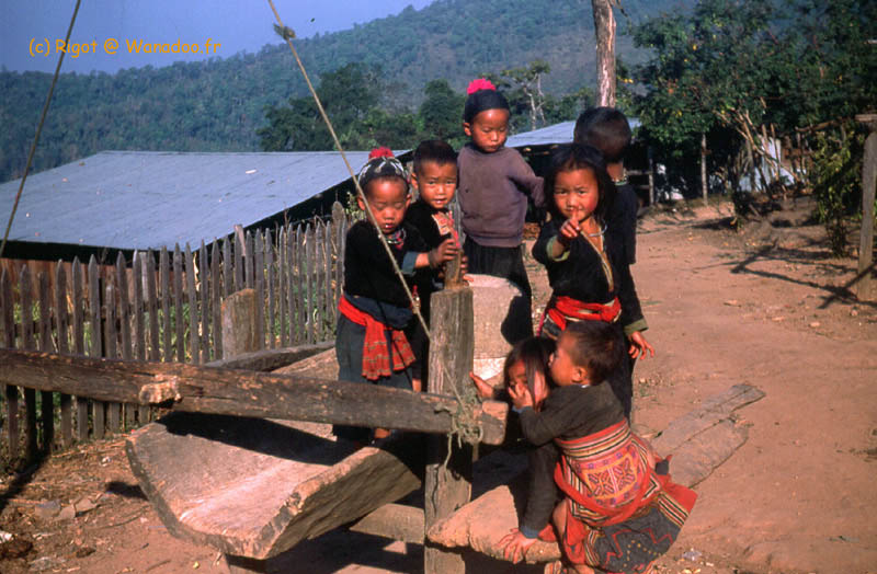 enfants du triangle d'or au nord de la Thailande
